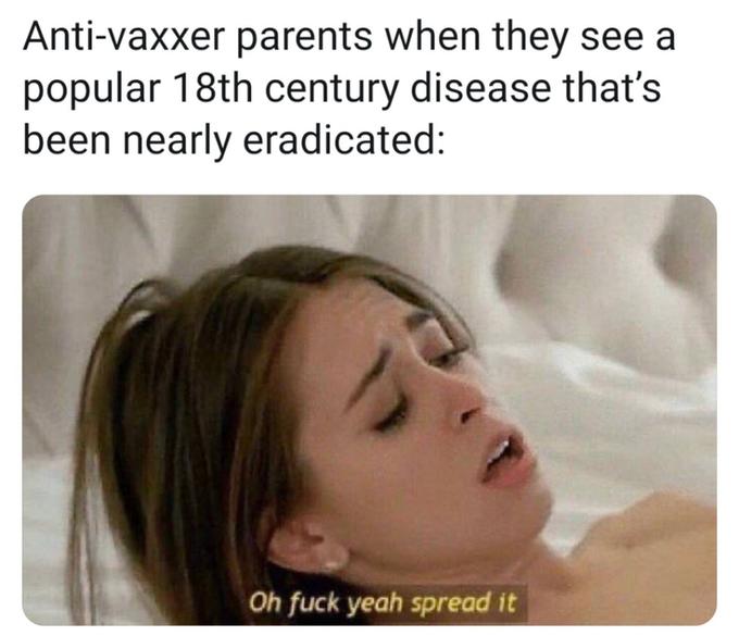 178169.jpg