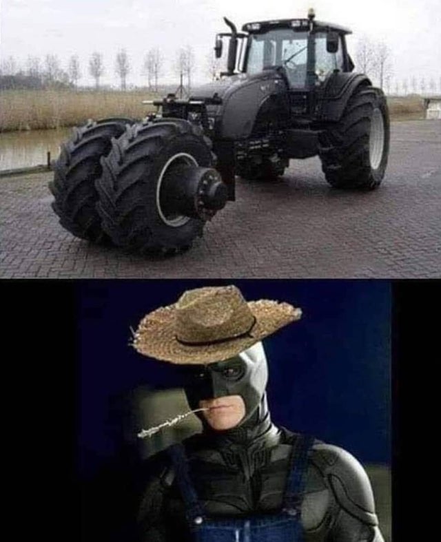 206545.jpg