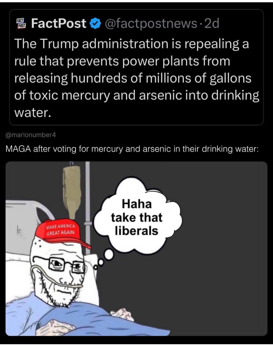 214595.jpeg