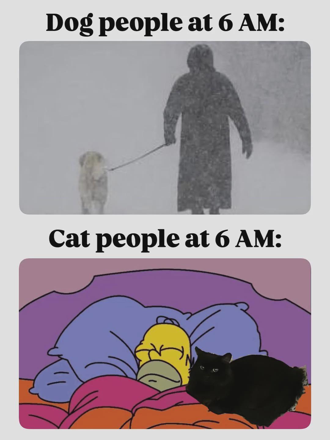 214803.jpeg