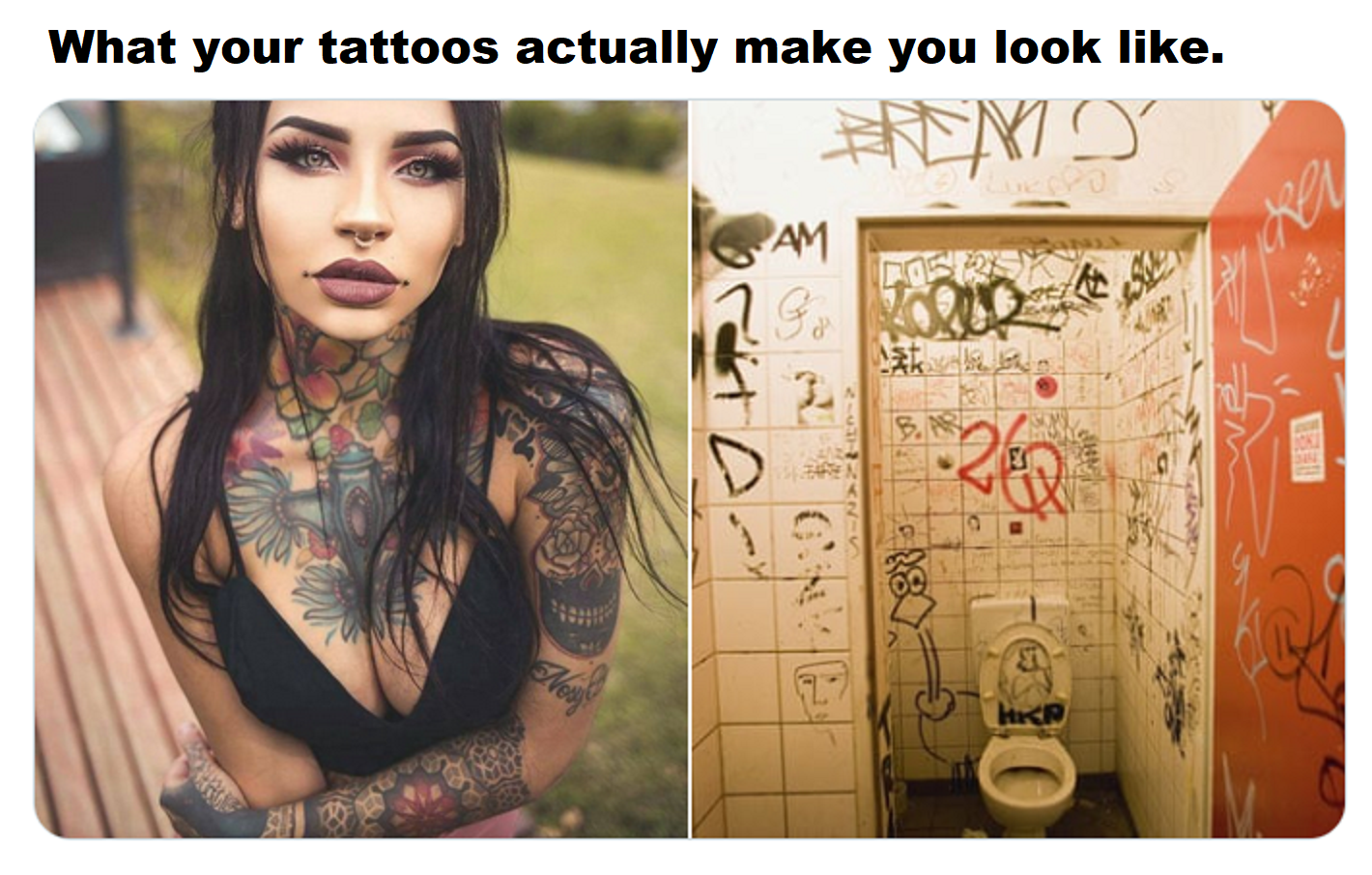 214911.png
