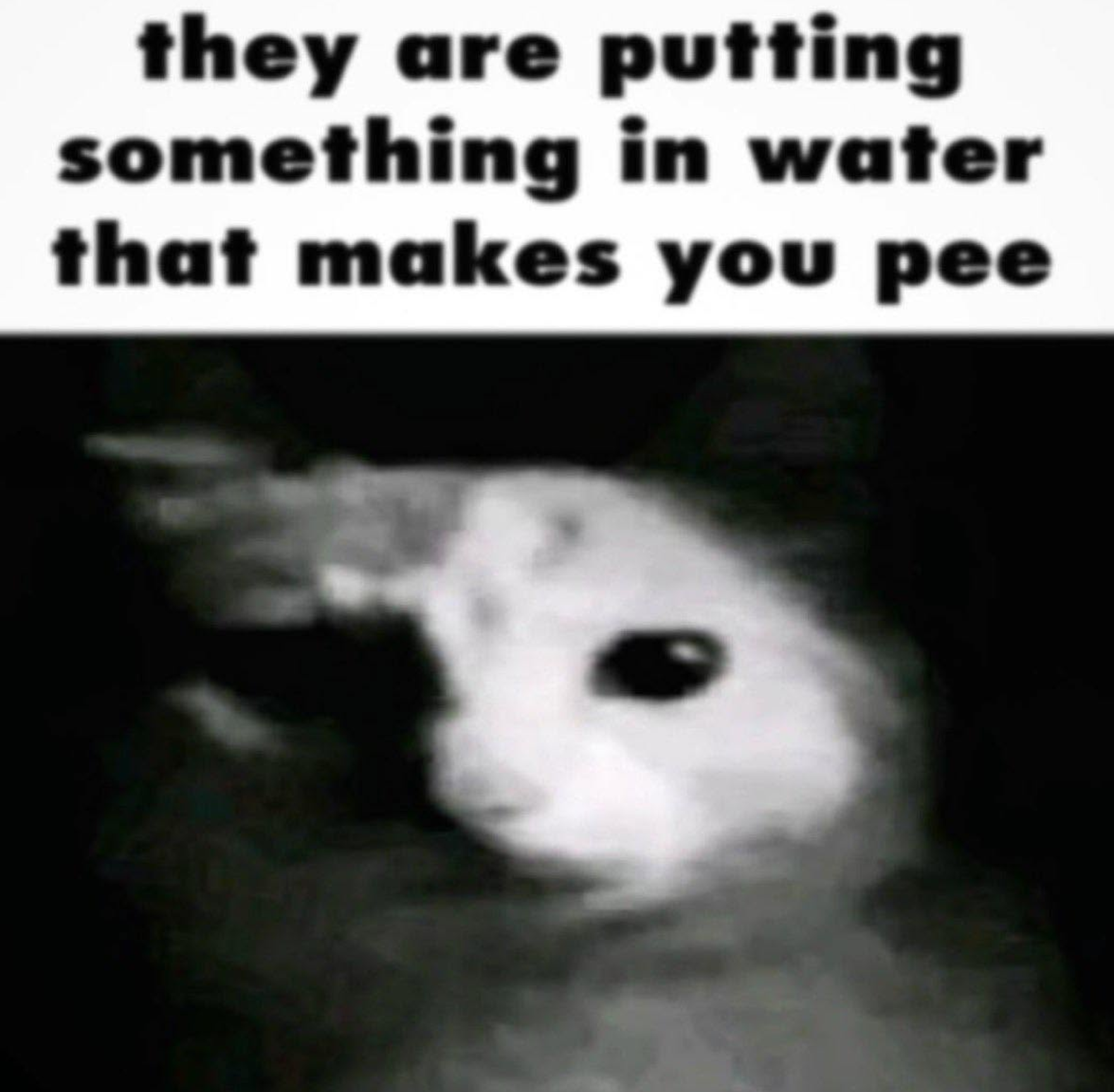 214926.png