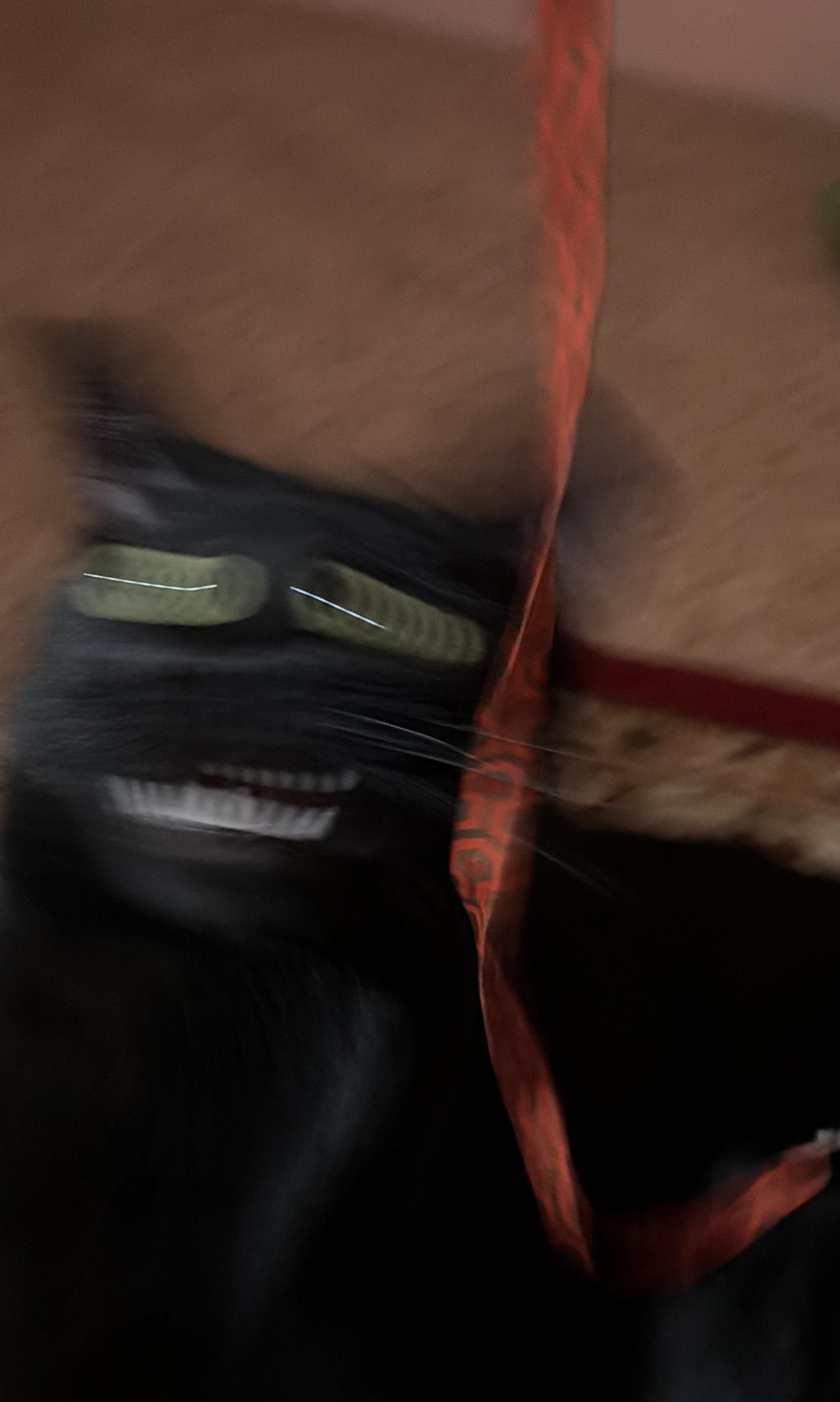 215213.jpeg