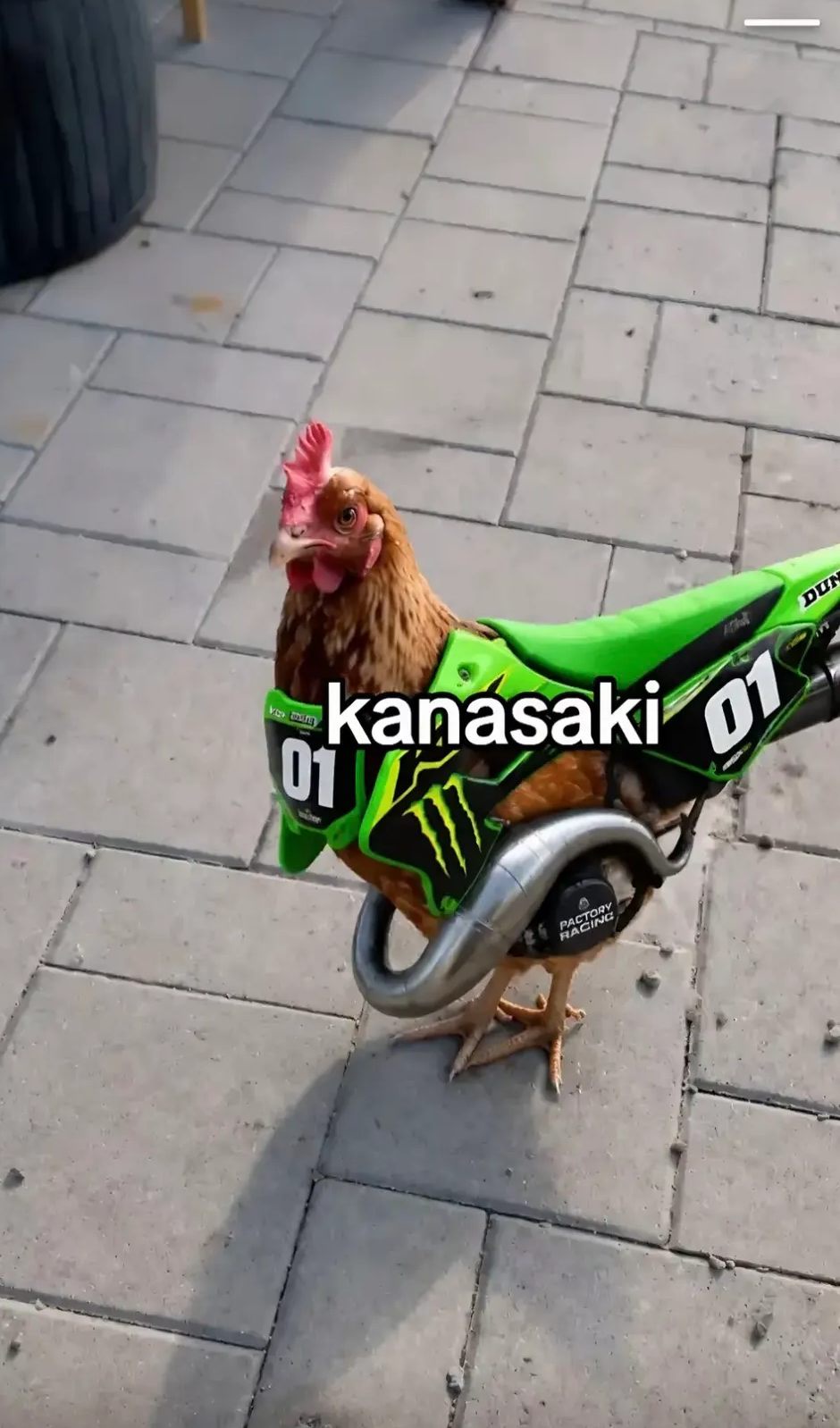 215222.jpeg
