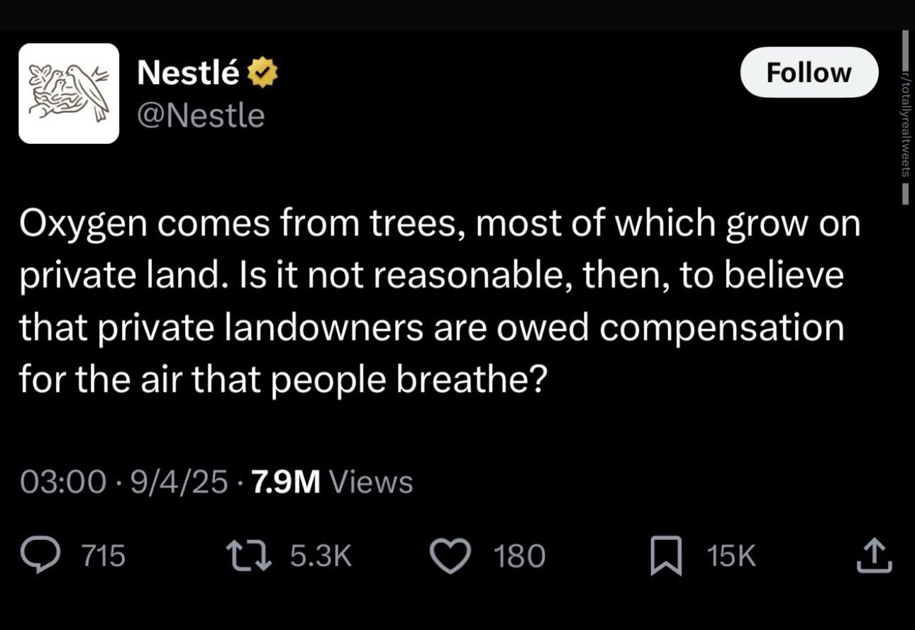 215295.jpeg