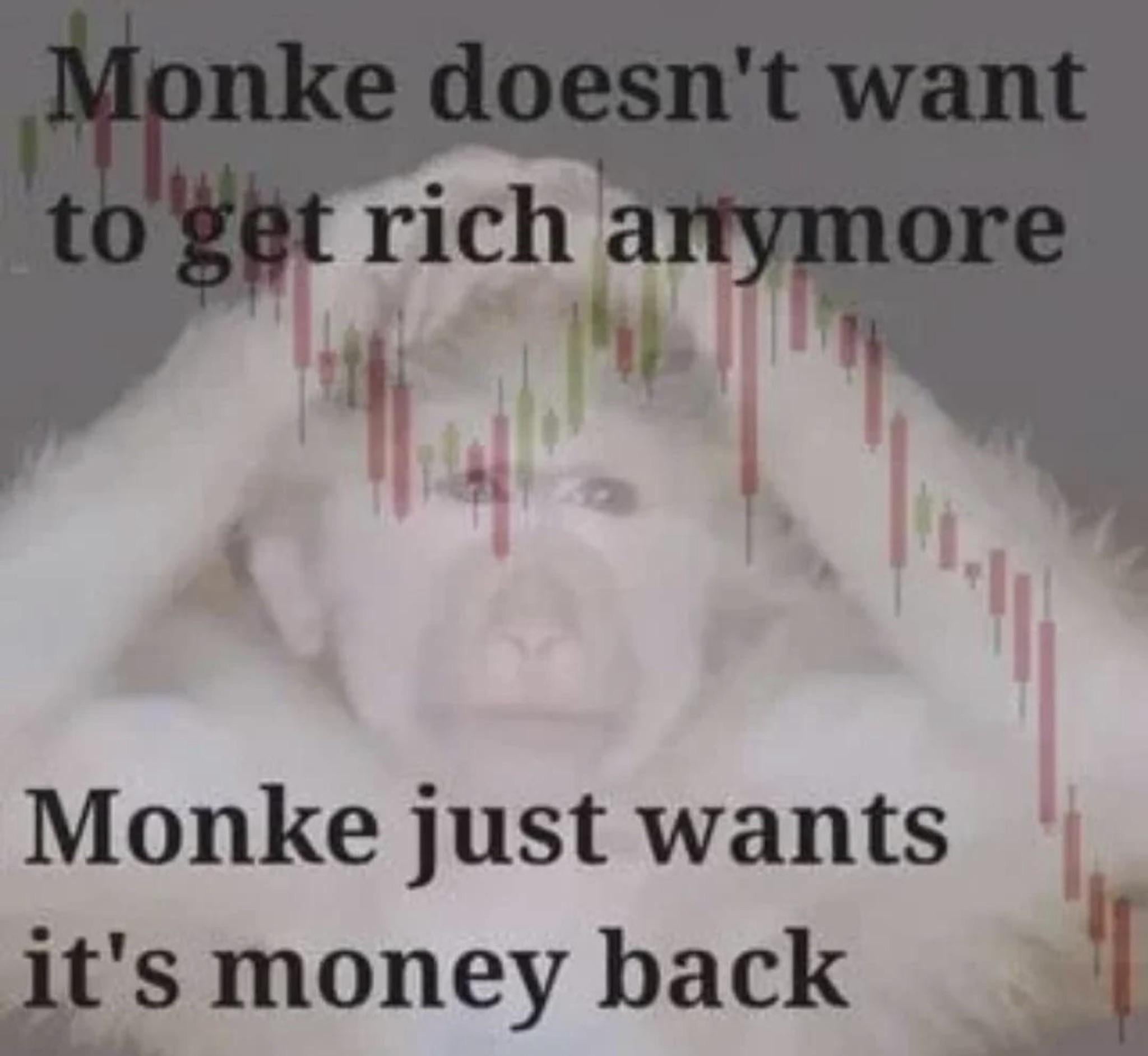 215444.jpeg