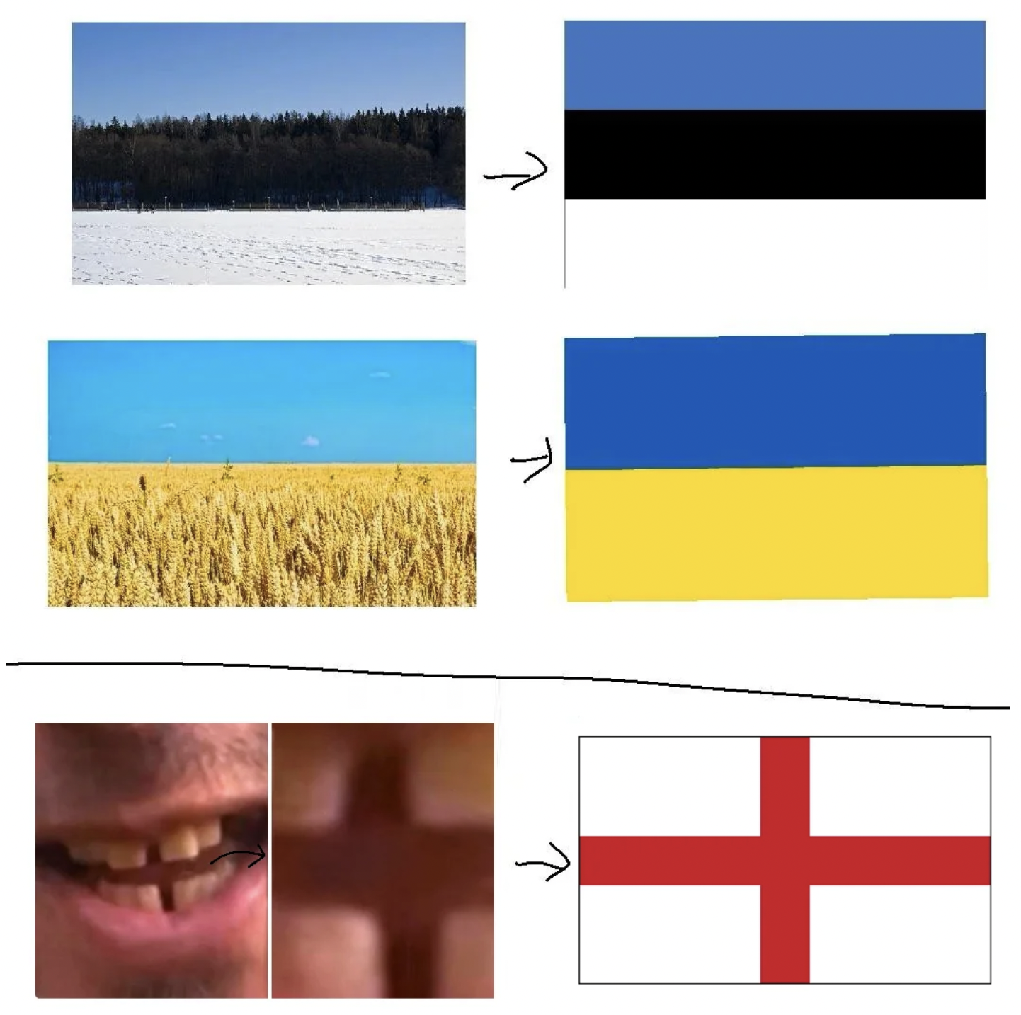 215451.png