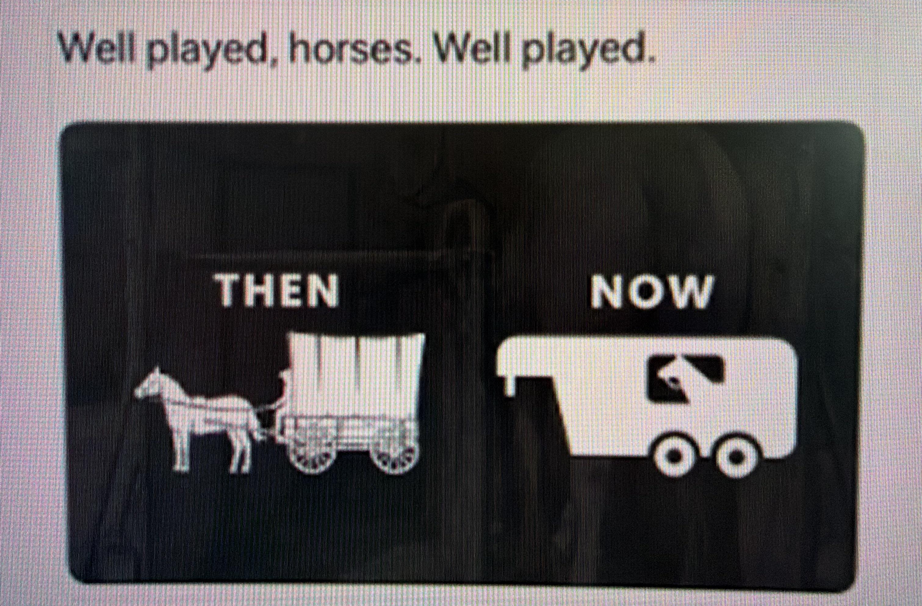 215478.jpeg