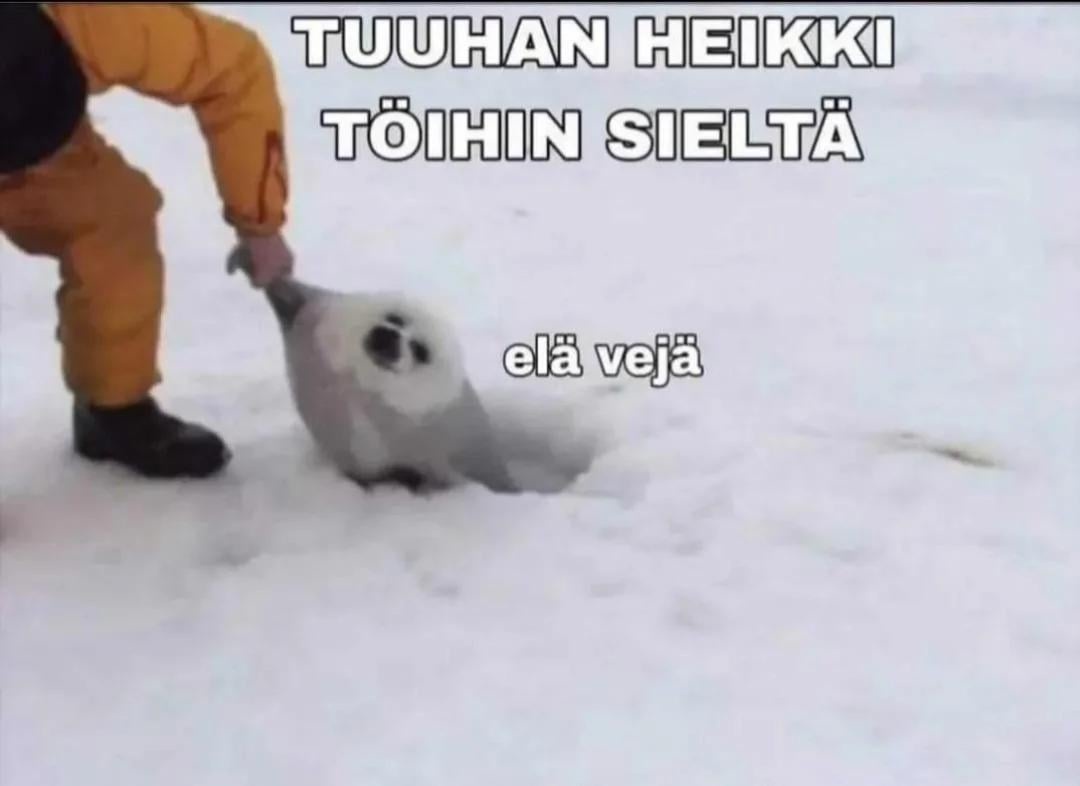 215489.jpeg