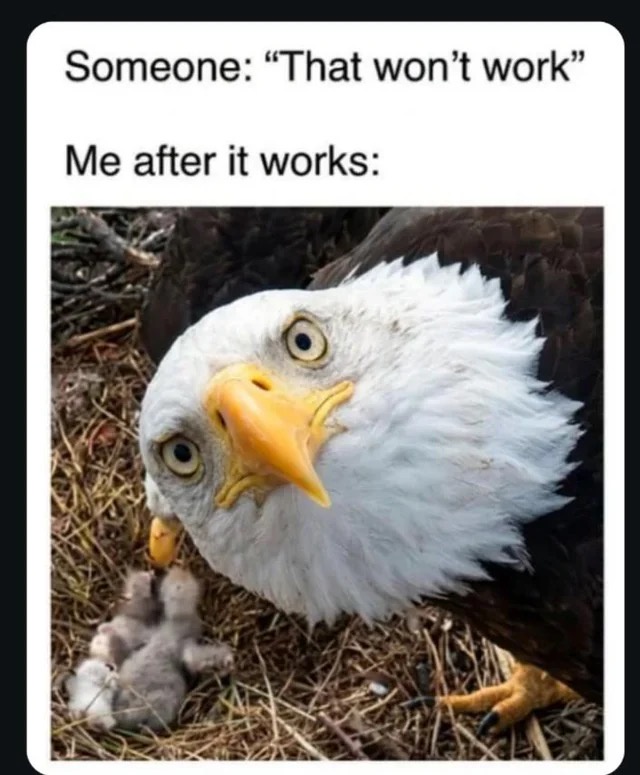 215644.jpeg