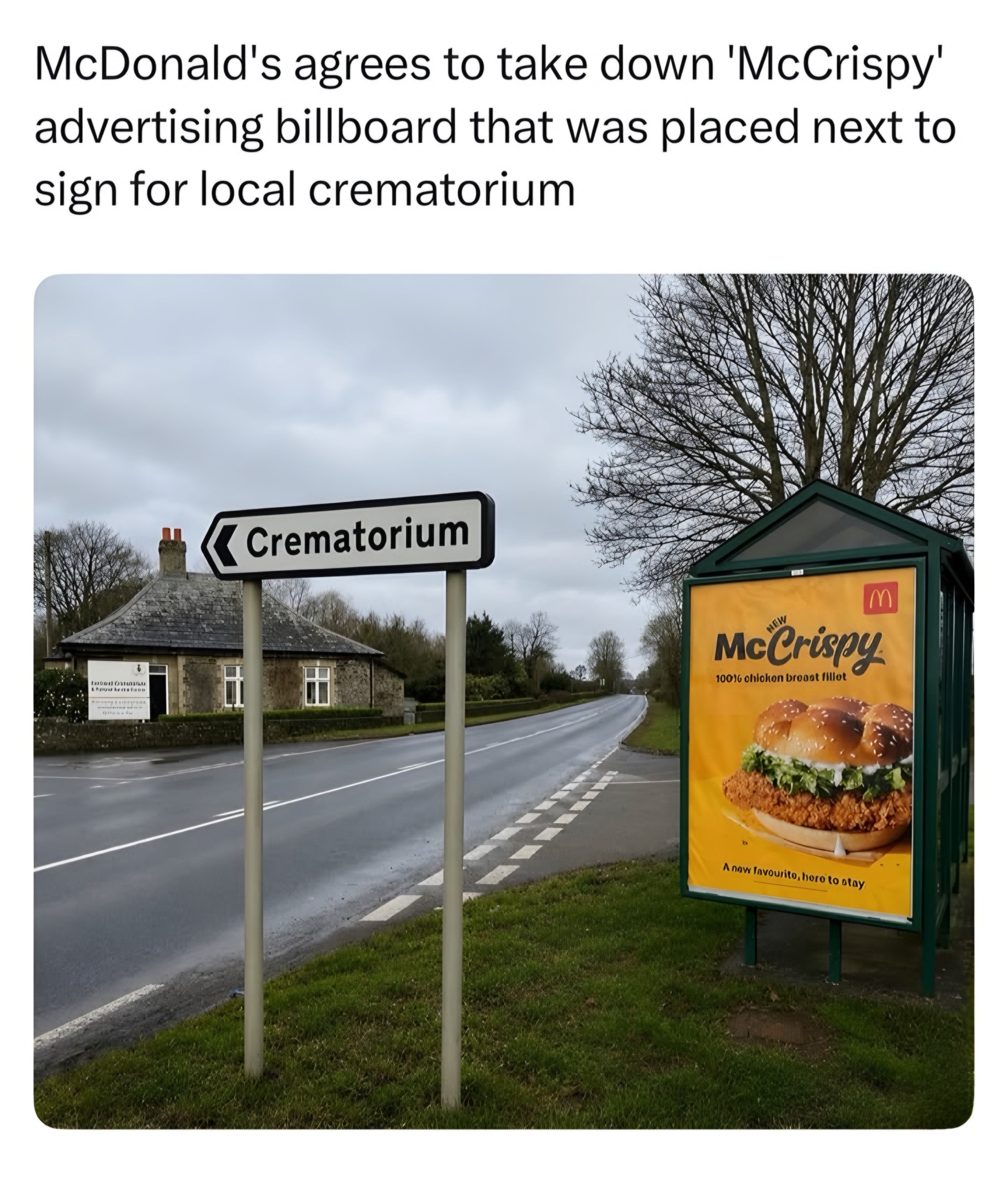 215721.jpeg