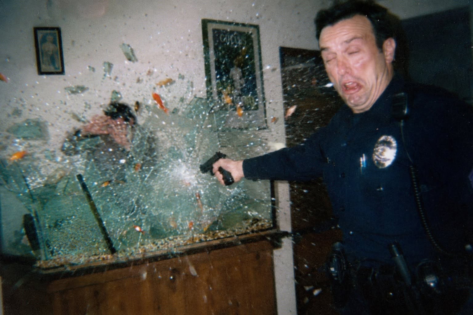 215783.jpg