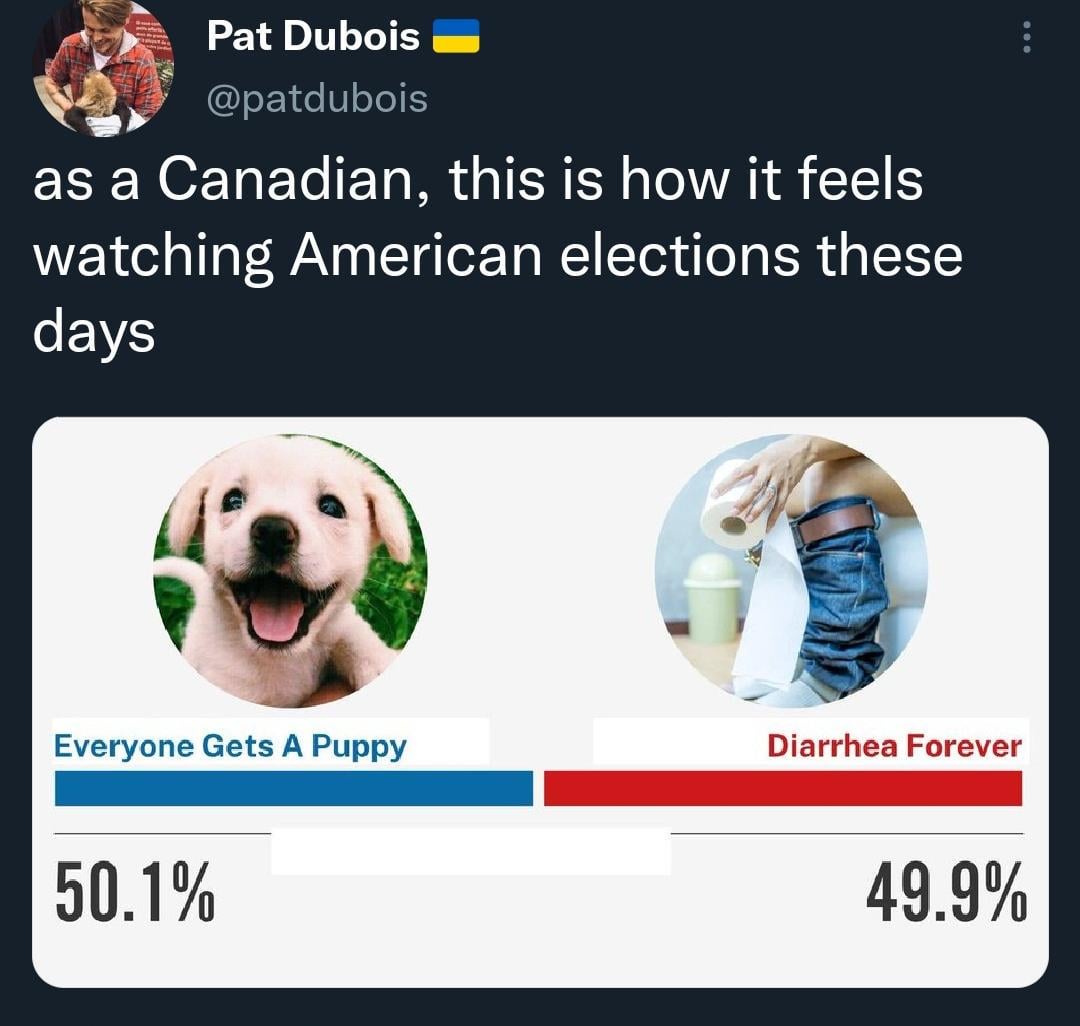 215843.jpeg