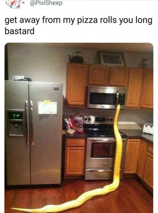 215879.png