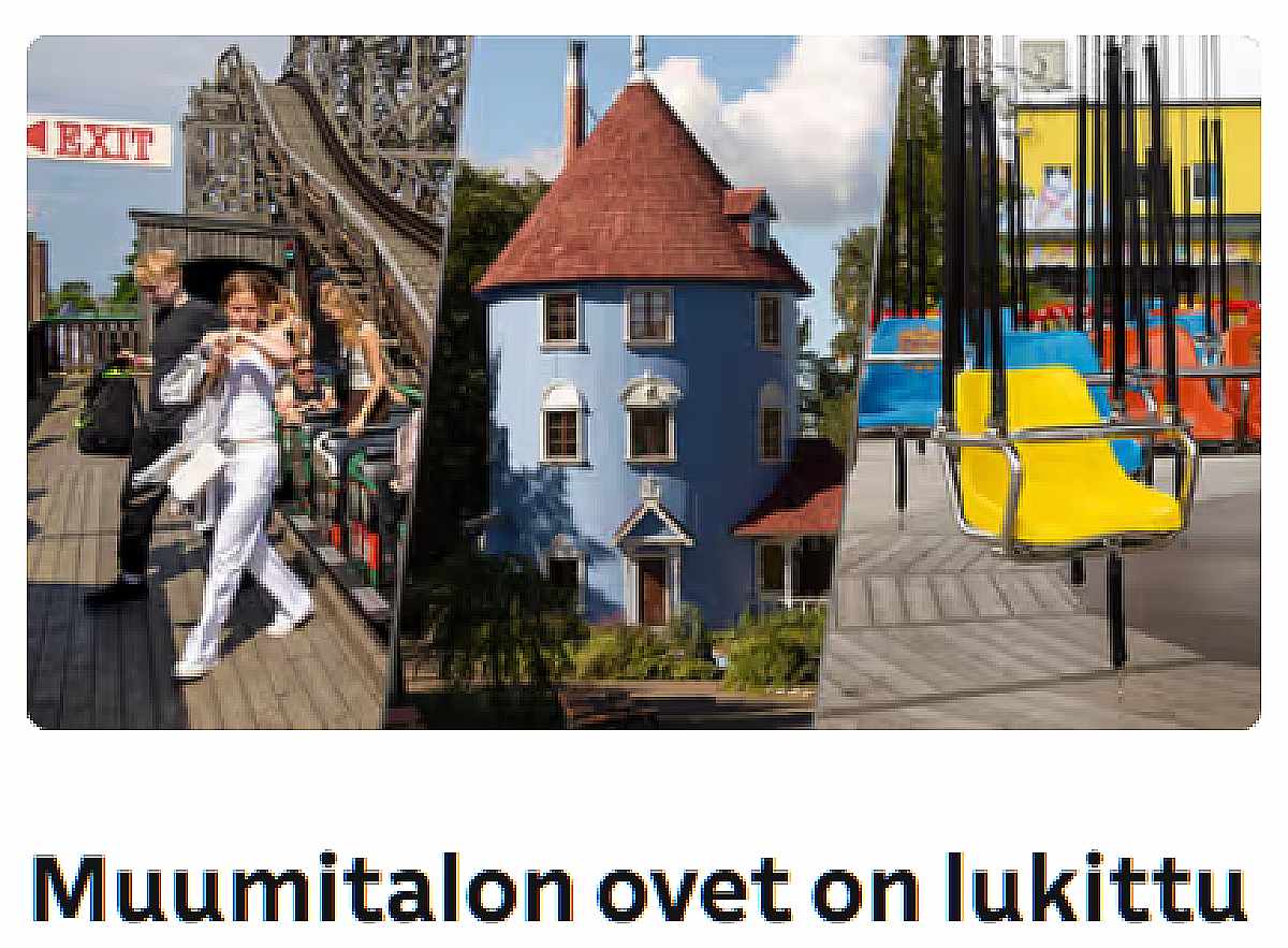 216065.jpeg