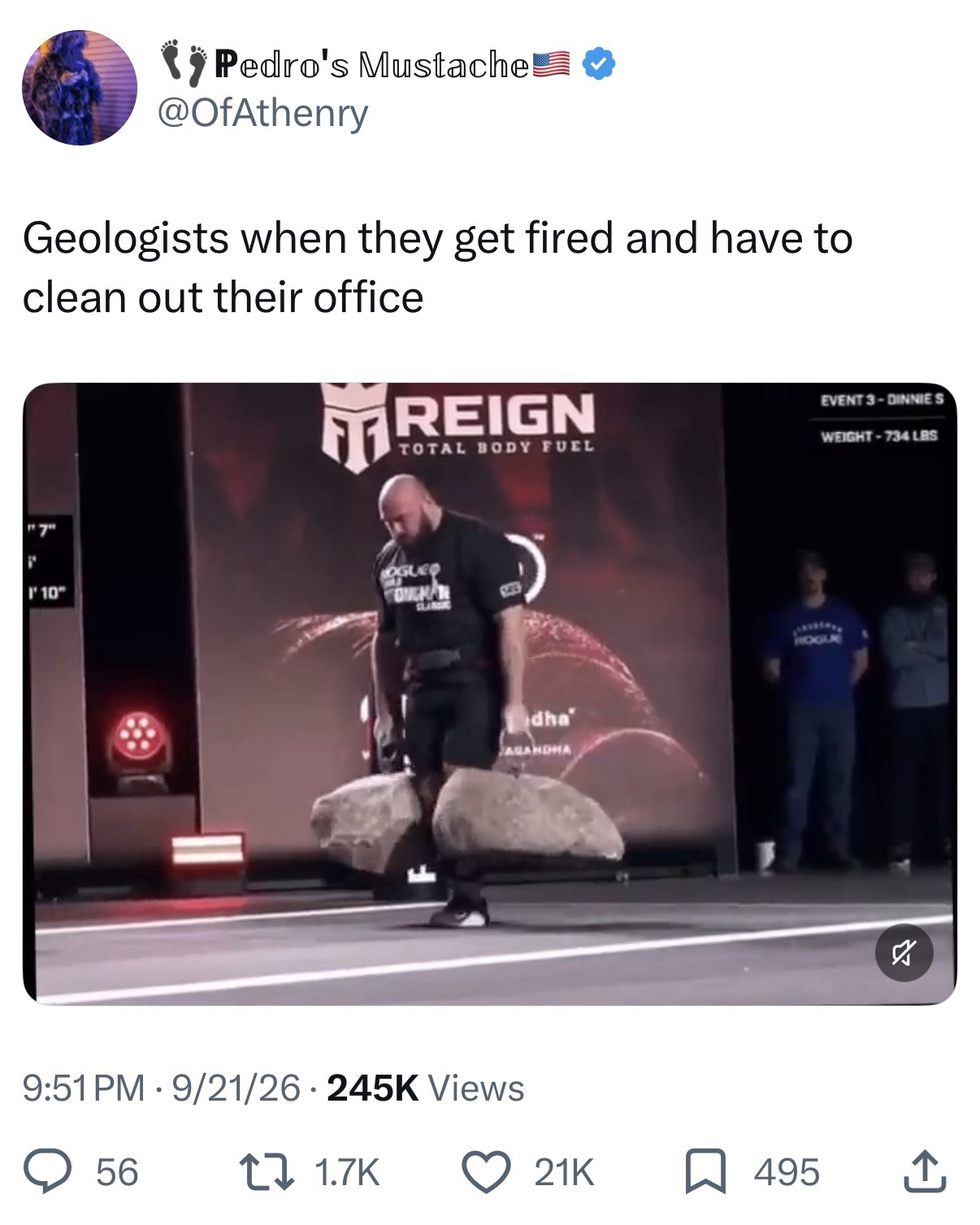 216368.jpeg