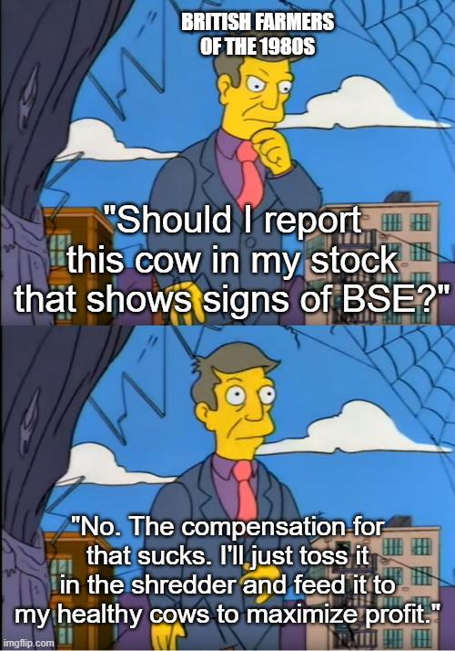 216520.jpeg