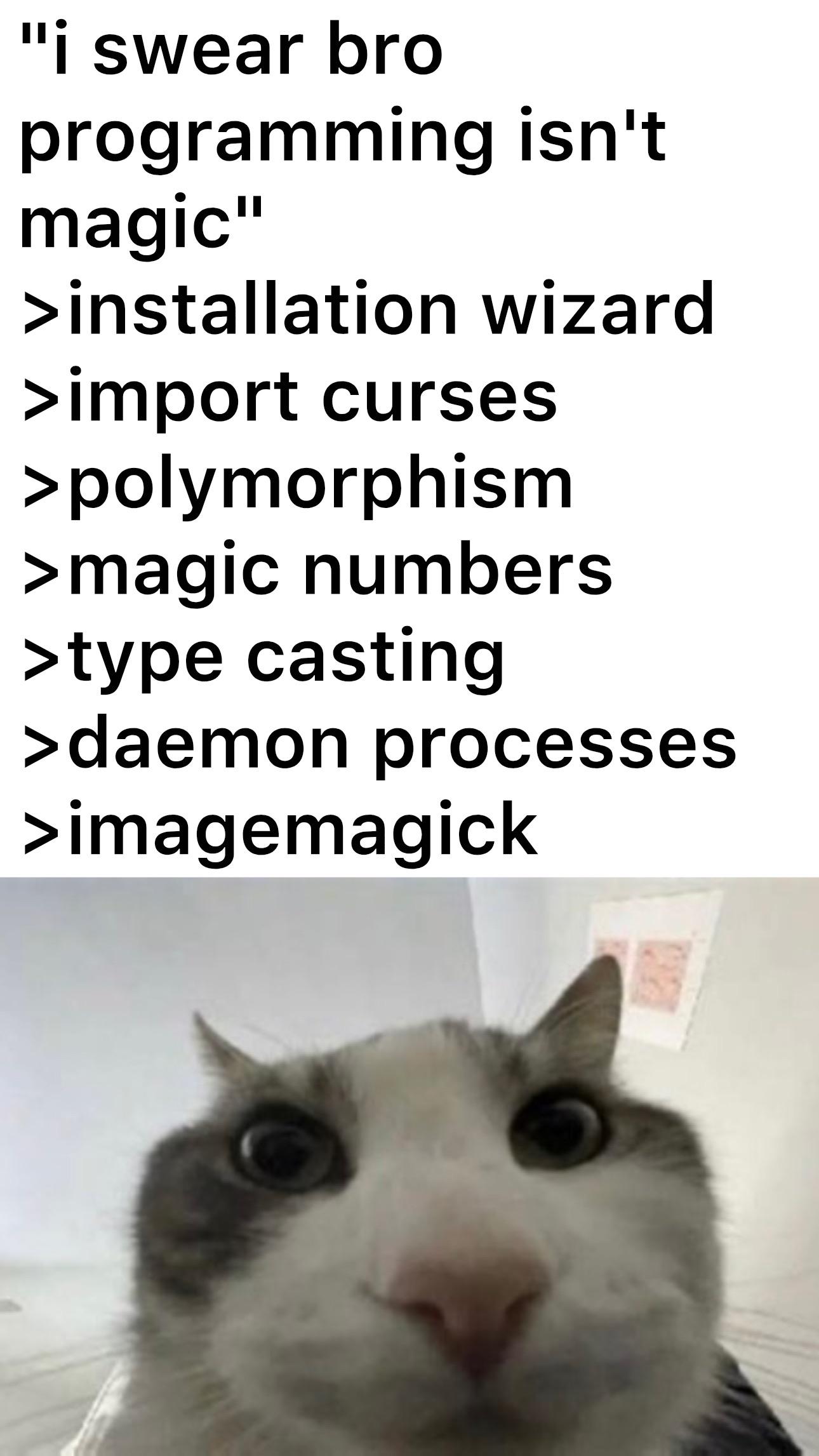 216577.jpeg