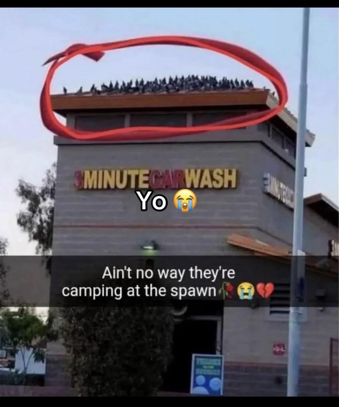 216597.jpeg