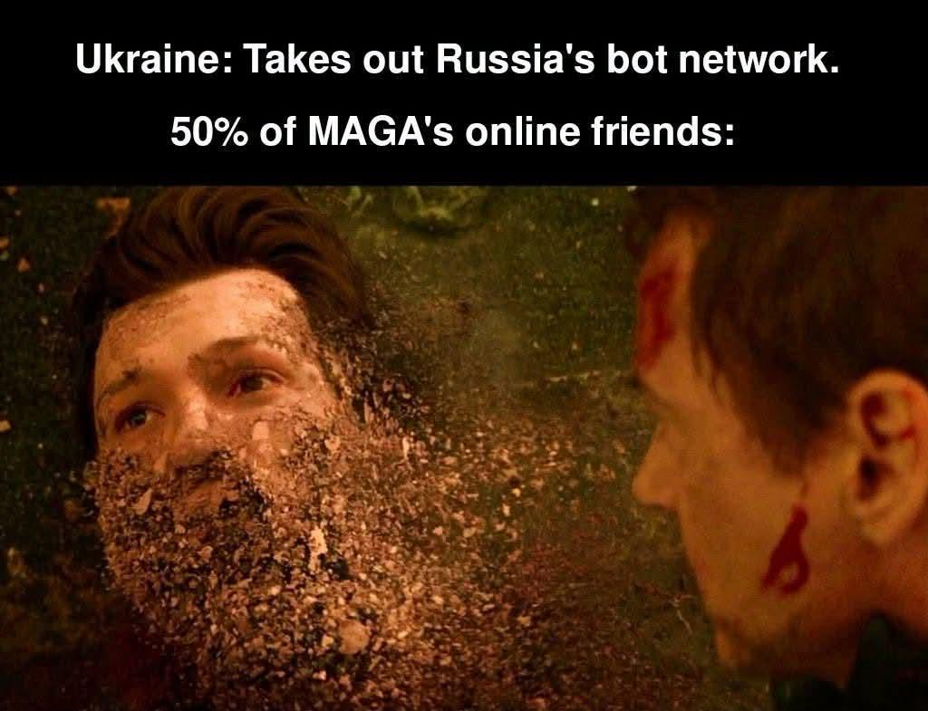 216599.jpeg