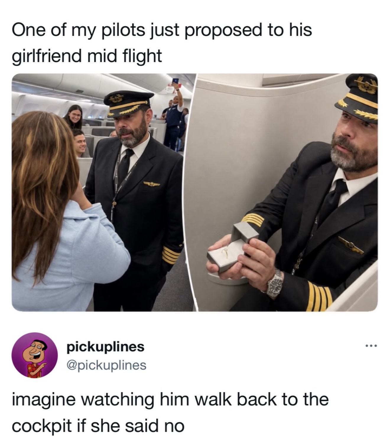 216636.jpeg