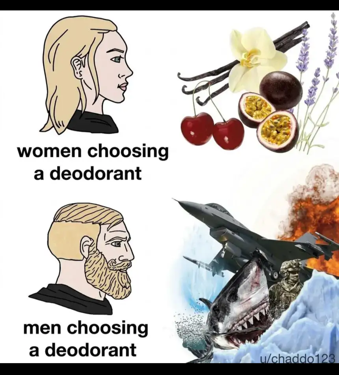 216643.png