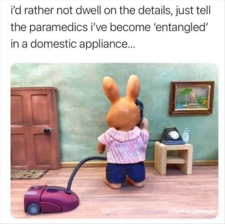 216665.jpeg