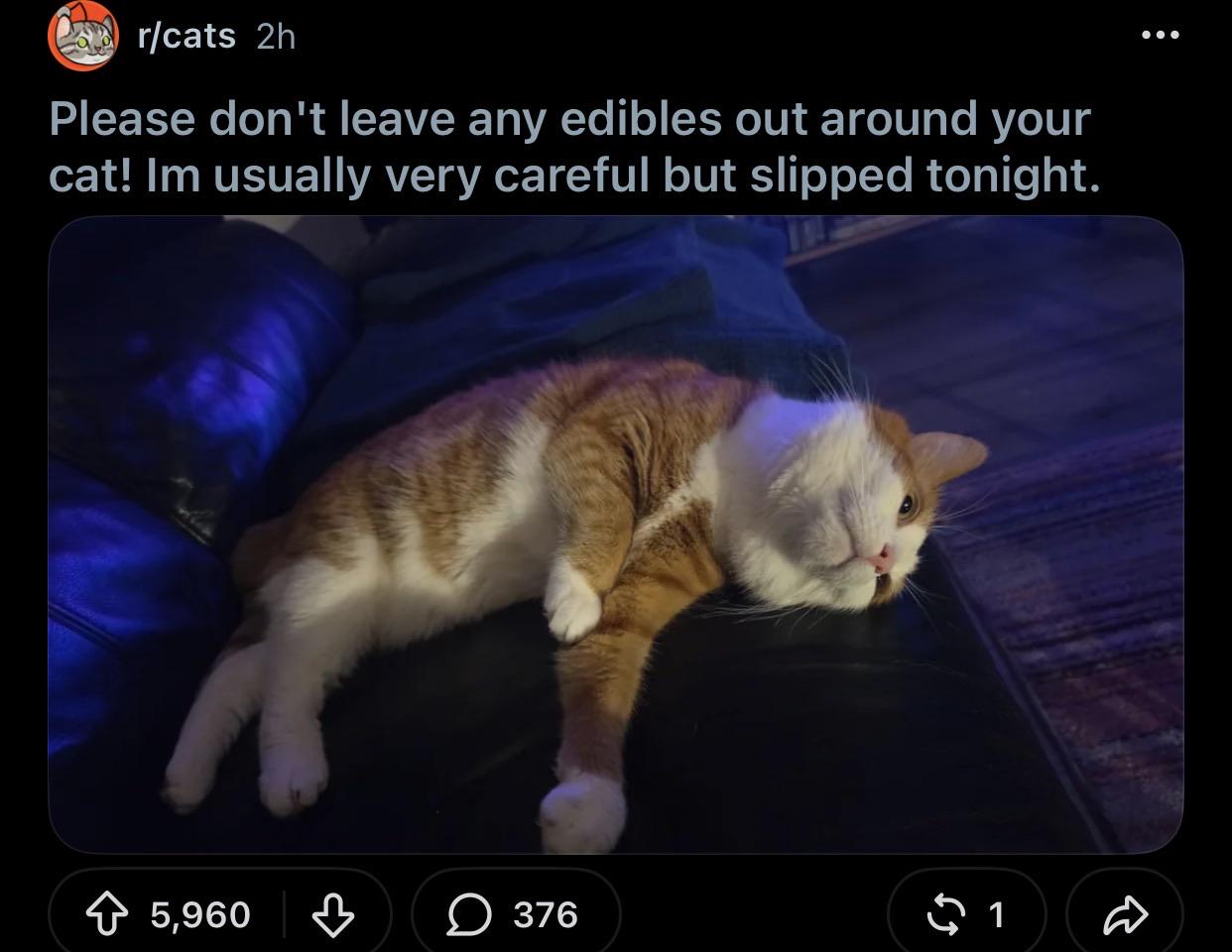 216671.jpeg