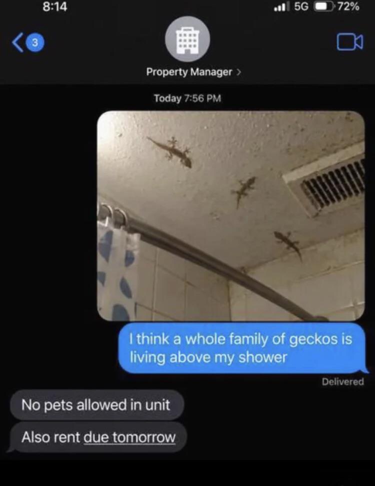 216704.jpeg