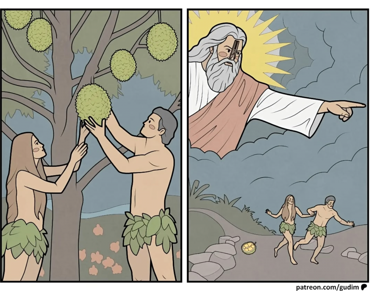 216726.png