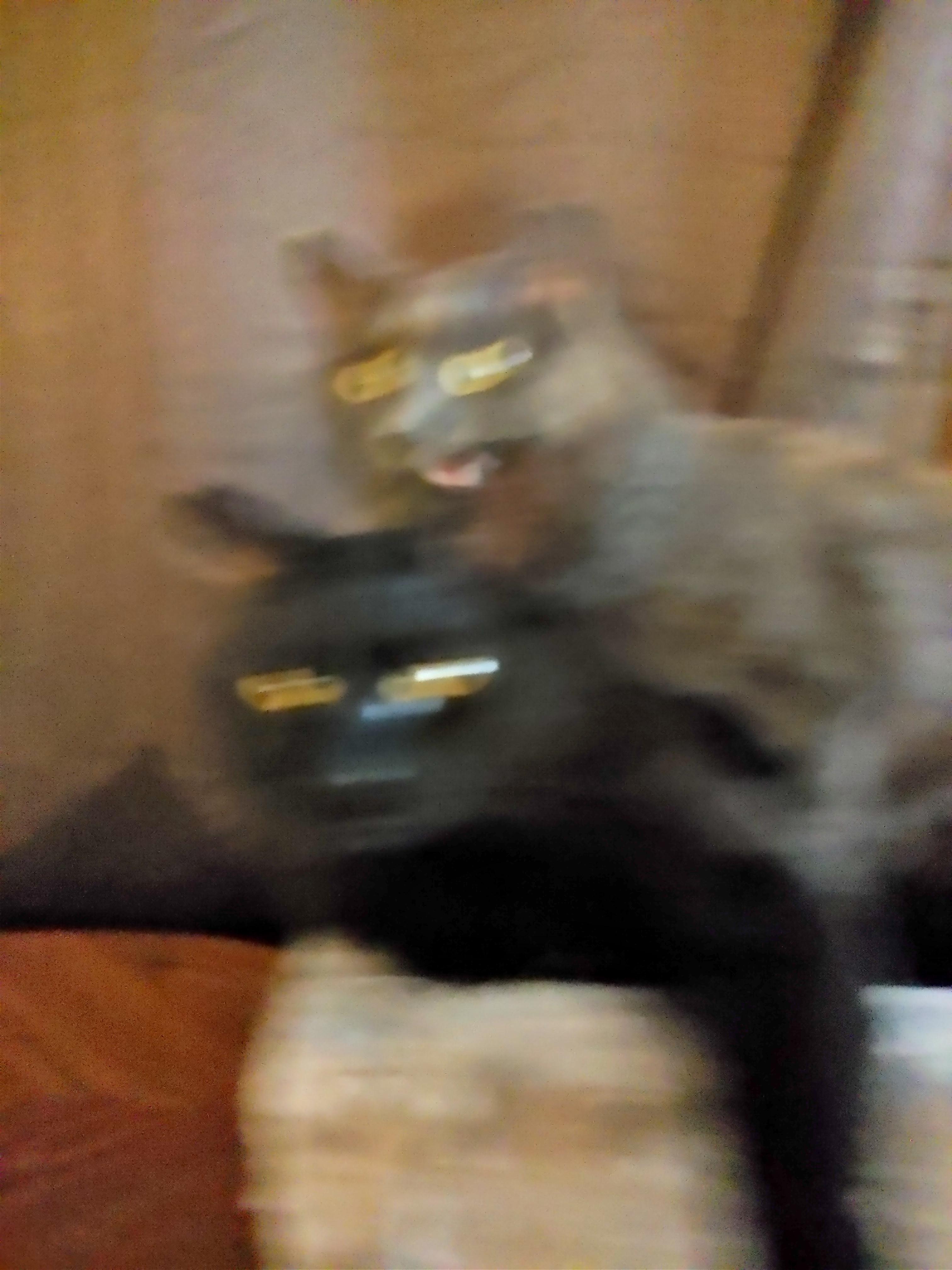 216755.jpeg