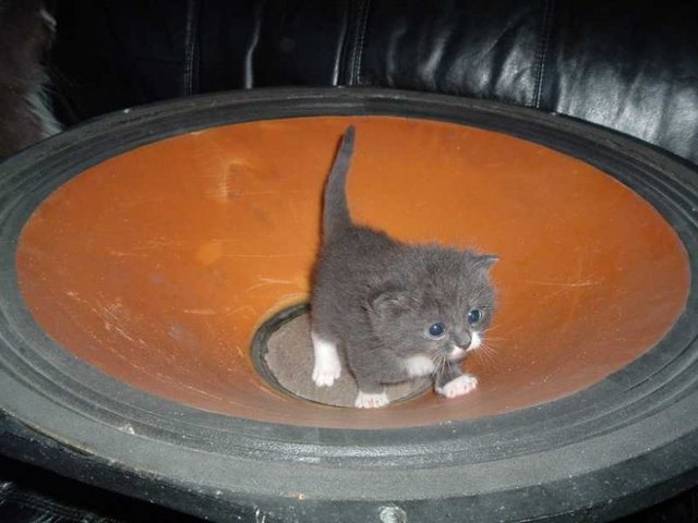23082.jpg