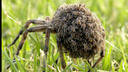 image 100536