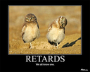 image 10421