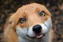 image 127869