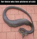 image 139812