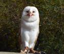 image 144364
