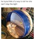 image 154137