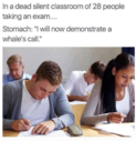 162456.png