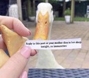 image 175202