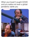 183145.jpeg