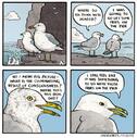 image 195302