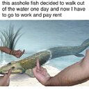image 199610
