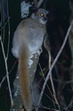 image 204718