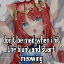 214364.jpeg