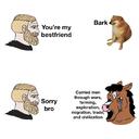214413.jpeg