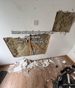 214420.jpeg