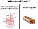 214463.jpeg