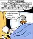 214551.jpeg