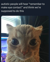 214578.png